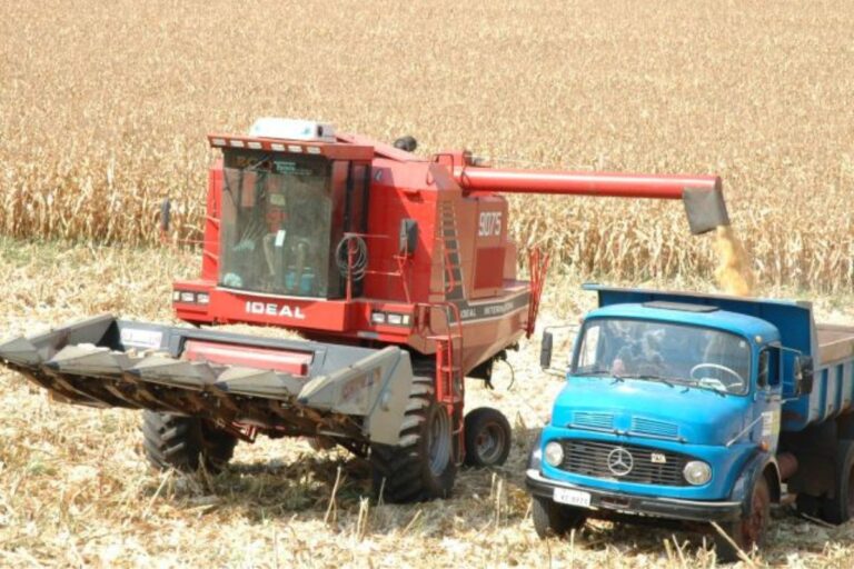 SC deve colher 3 mi de toneladas de soja em 2024/25 e 2,2 mi de t de milho