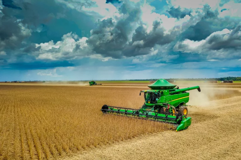 Vendas da safra 24/25 de soja atingem 81,93% em Mato Grosso