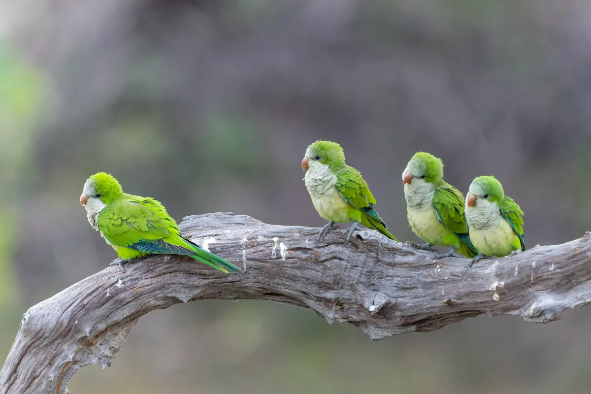 Foto: Adobe Stock