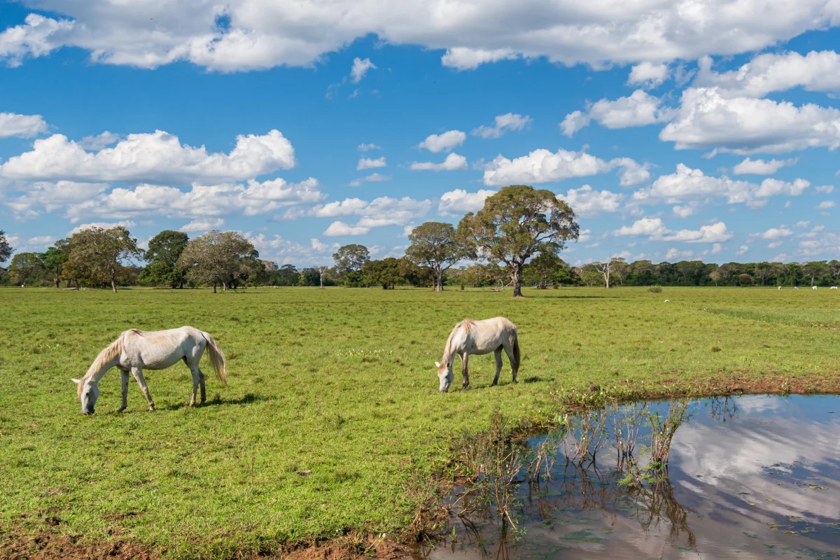 Foto: Adobe Stock