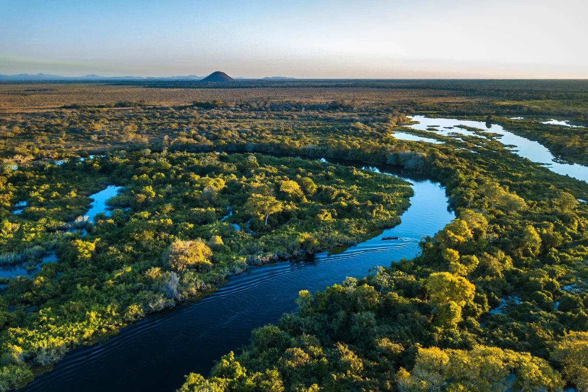 Foto: Adobe Stock