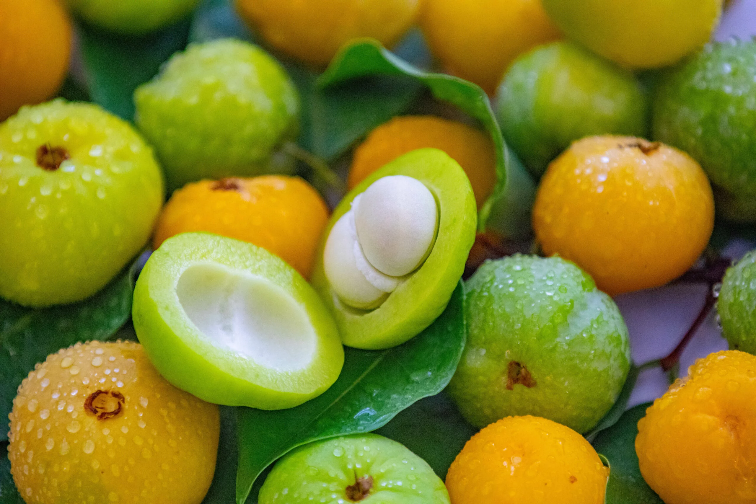 Foto: Adobe Stock