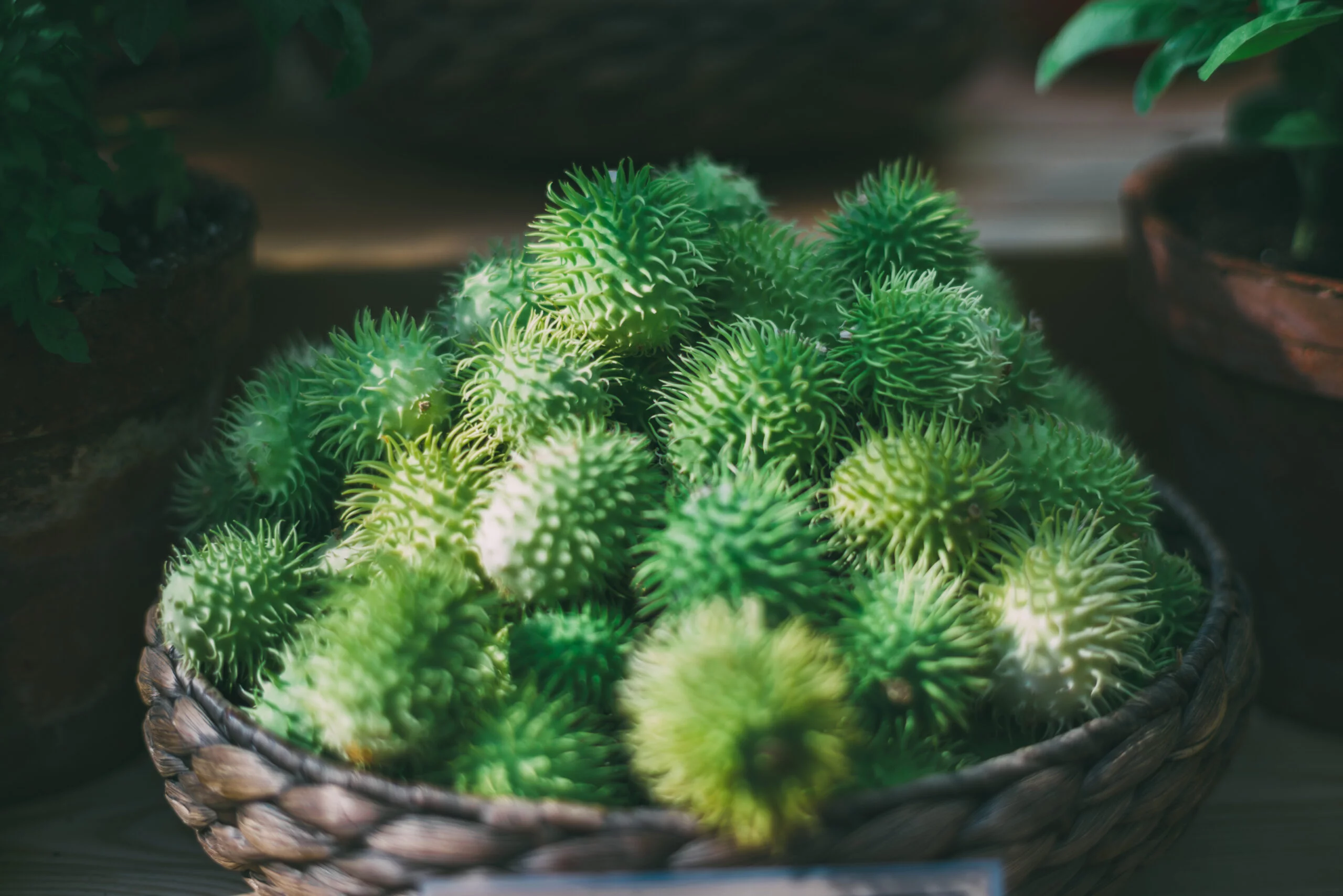 Foto: Adobe Stock
