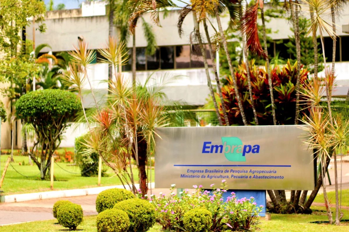 Foto: Ayrton Xavier/Agro Estadão