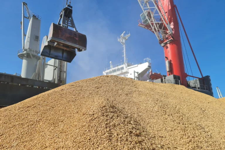 USDA amplia estimativa para safra de soja brasileira em 2024/25