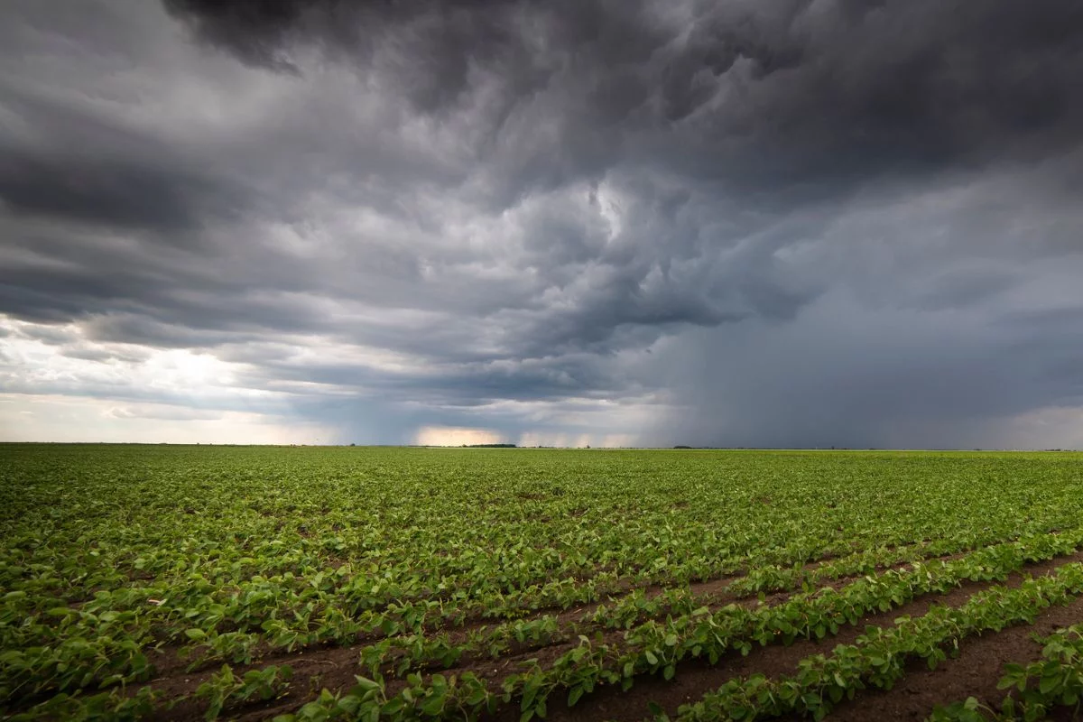 Foto: Adobe Stock