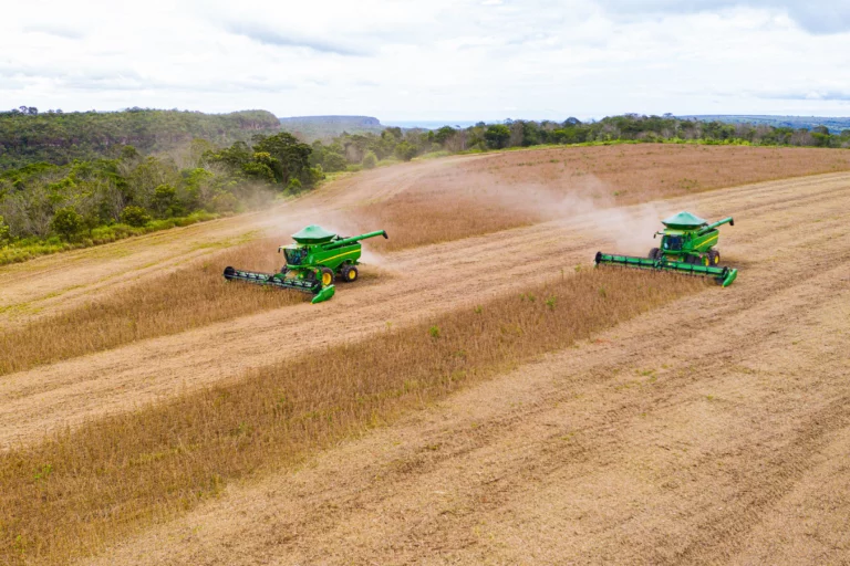 Brasil colheu 88% da área de soja 24/25, afirma Conab