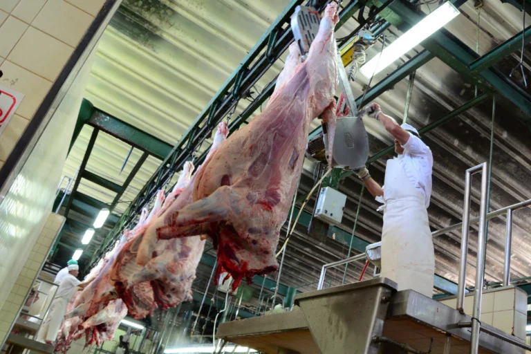 Carne bovina: oferta restrita e demanda forte elevam preços