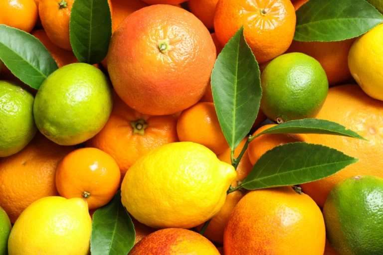 Brasil abre mercado da Índia para exportar 5 frutas cítricas