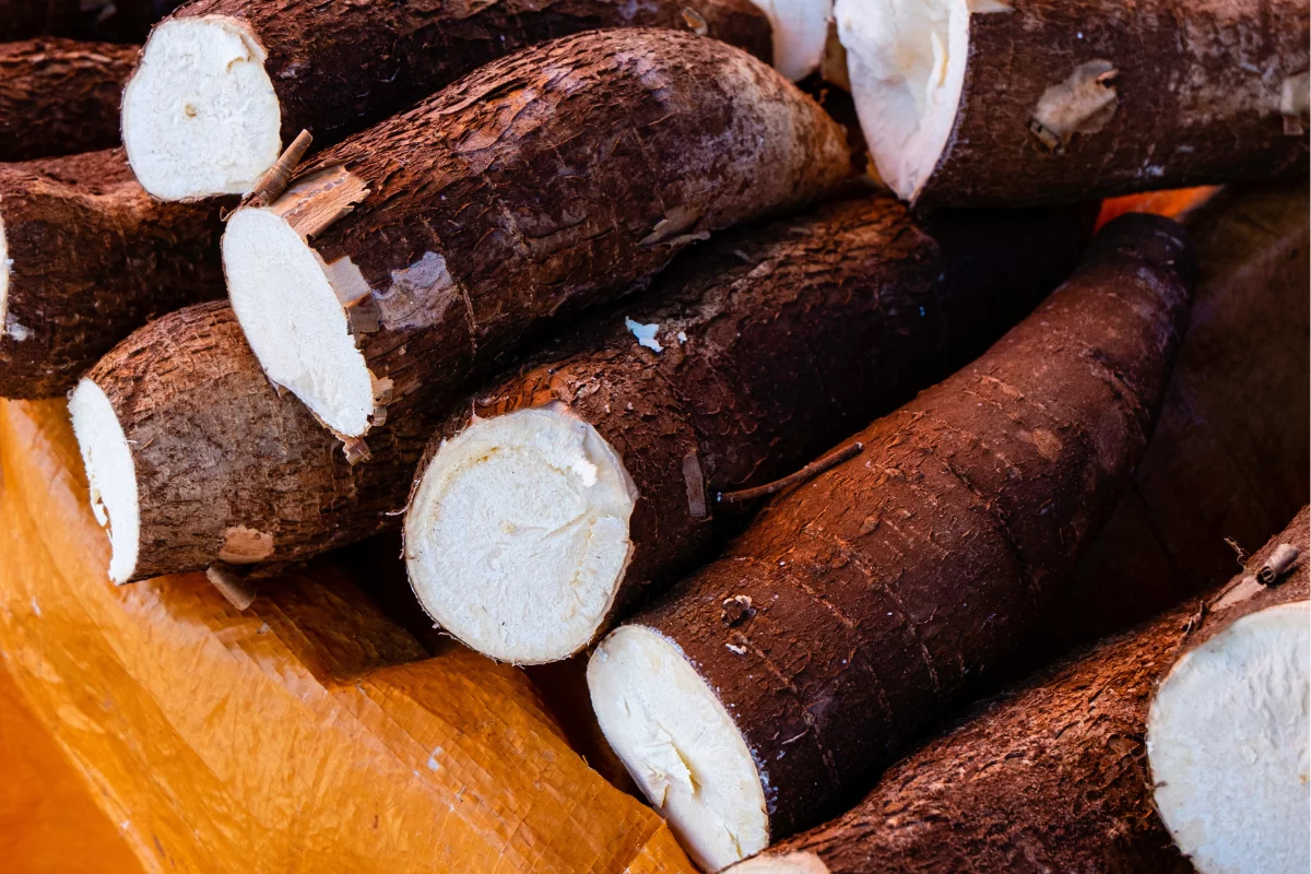 Foto: Adobe Stock