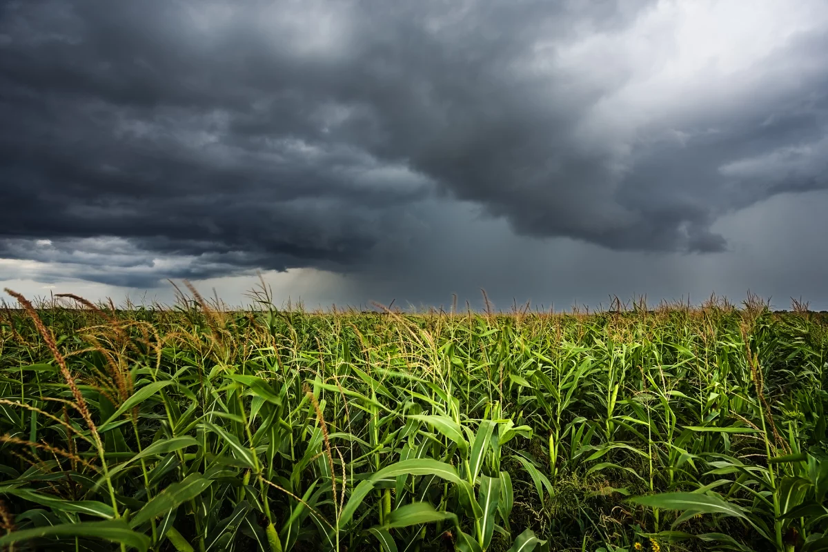 Foto: Adobe Stock