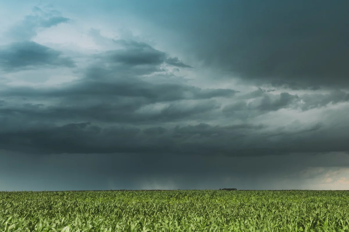 Foto: Adobe Stock