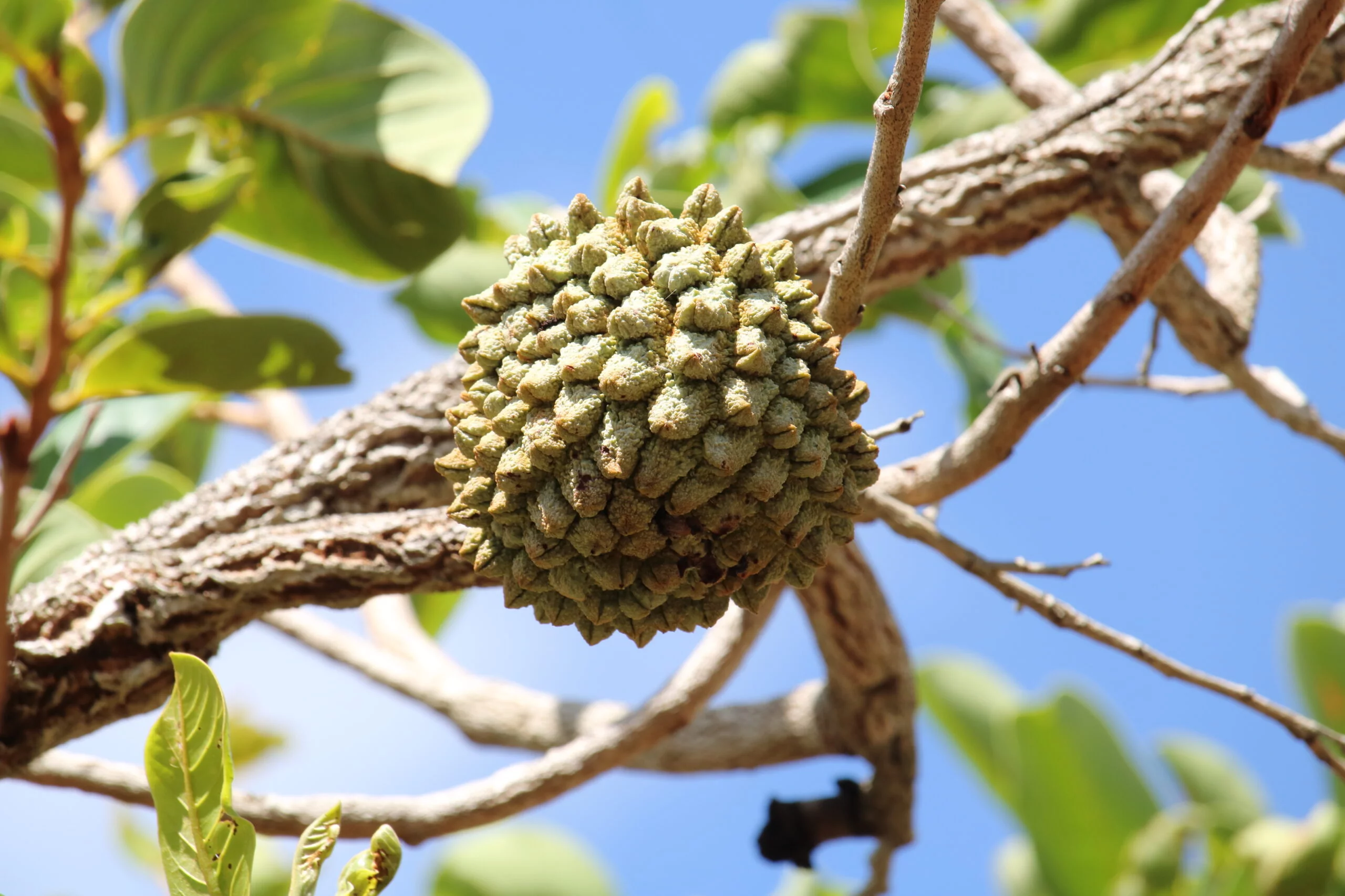 Foto: Adobe Stock