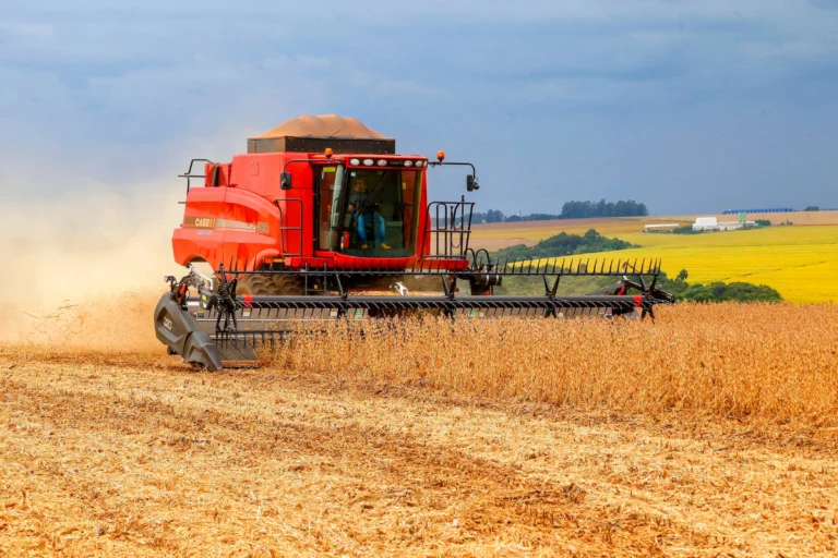 Conab: país colheu 94,8% da área de soja
