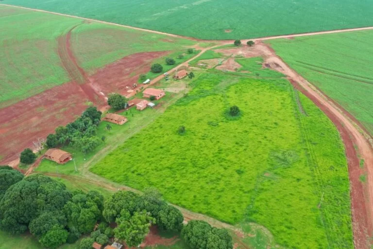 Amaggi aposta em agricultura regenerativa para gerar créditos de carbono