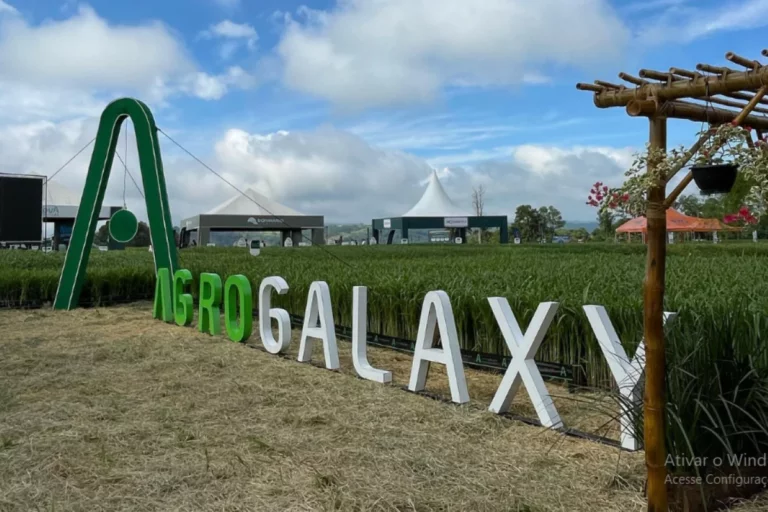 AgroGalaxy reverte lucro e tem prejuízo líquido ajustado de R$ 292,4 milhões
