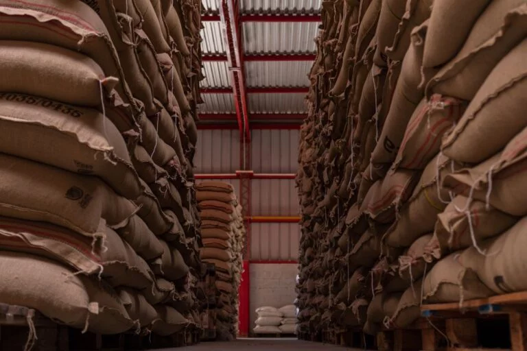 Exportações do agronegócio somam US$ 15,6 bilhões em março