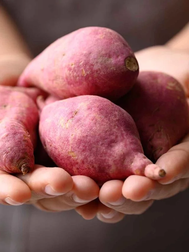 Raízes que curam: os benefícios surpreendentes dos tubérculos na alimentação