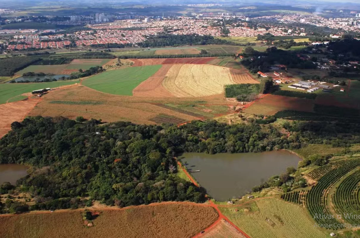 Fazenda do Instituto Agronômico (IAC) é uma das áreas que o governo de São Paulo quer vender - Foto: IAC/Divulgação