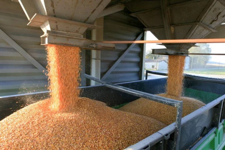 Safra recorde: Tocantins deve colher 8,9 milhões de toneladas de grãos
