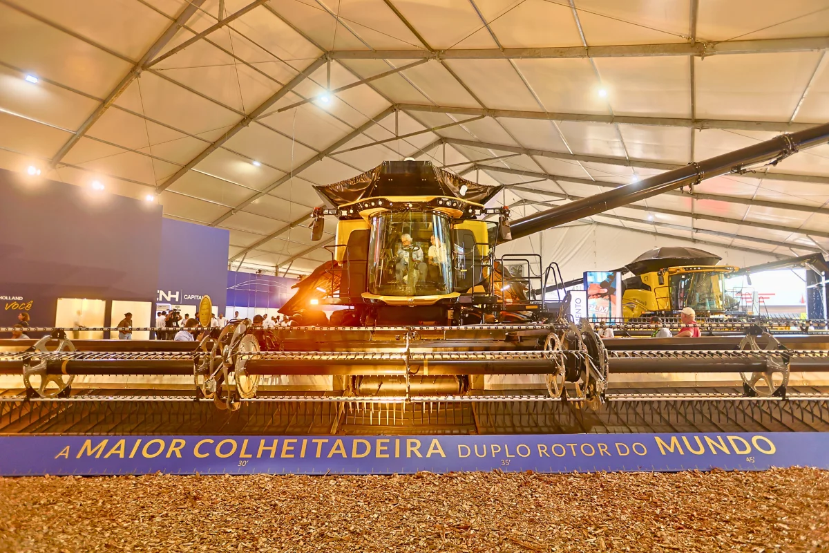 Foto: Célio Messias 