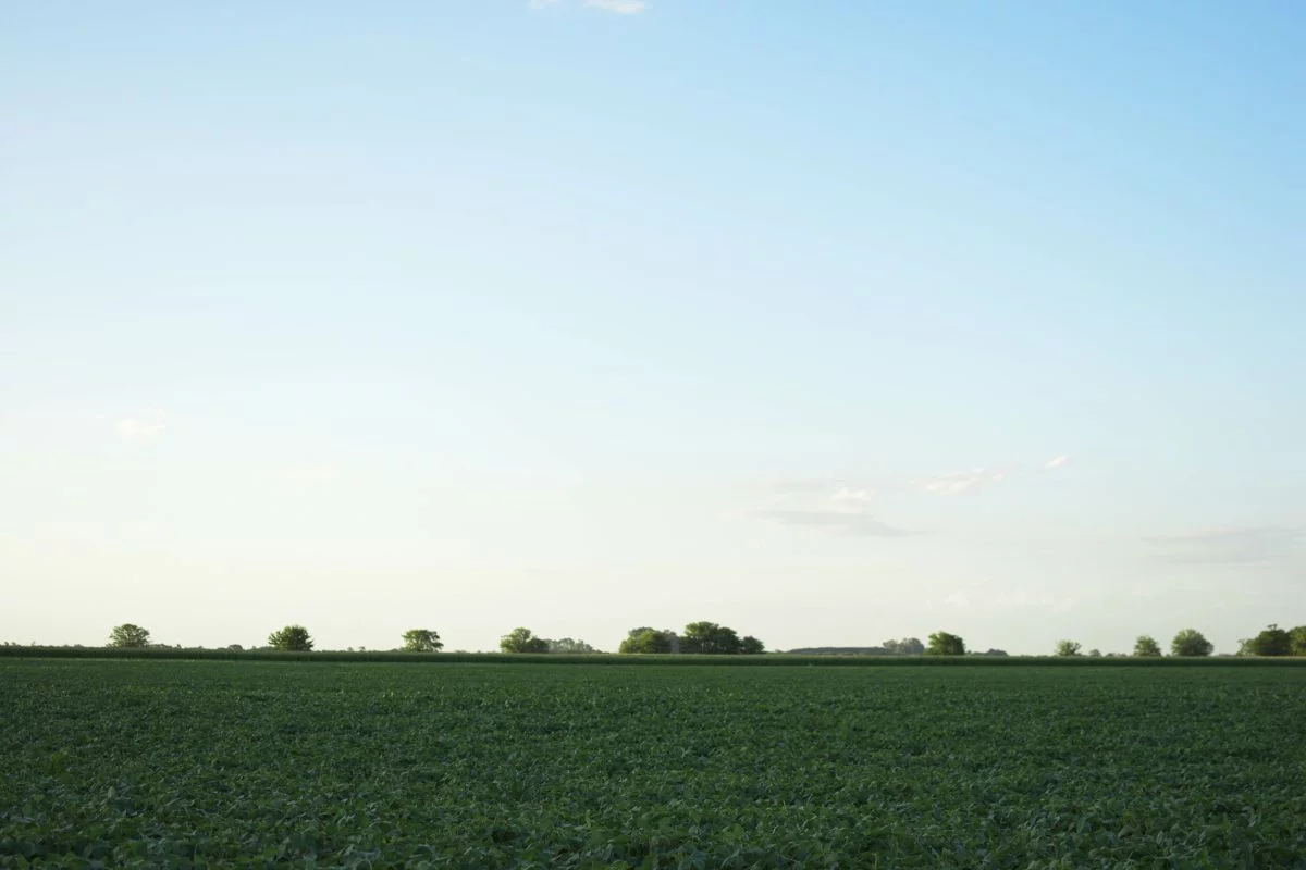 Foto: Adobe Stock