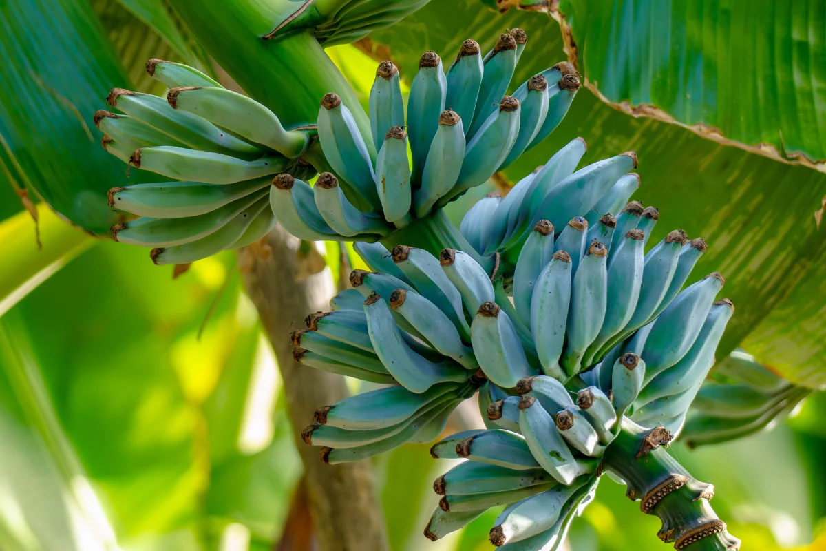 Foto: Adobe Stock