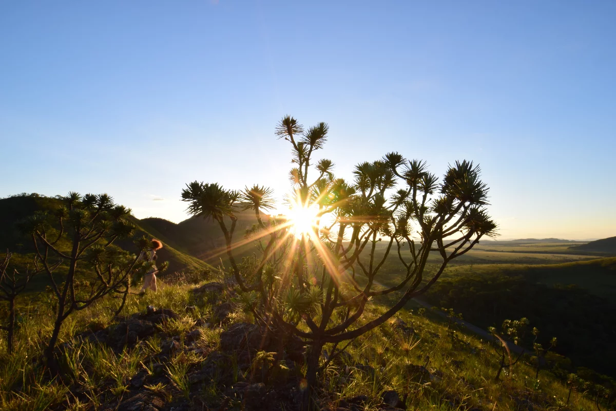 Foto: Adobe Stock    