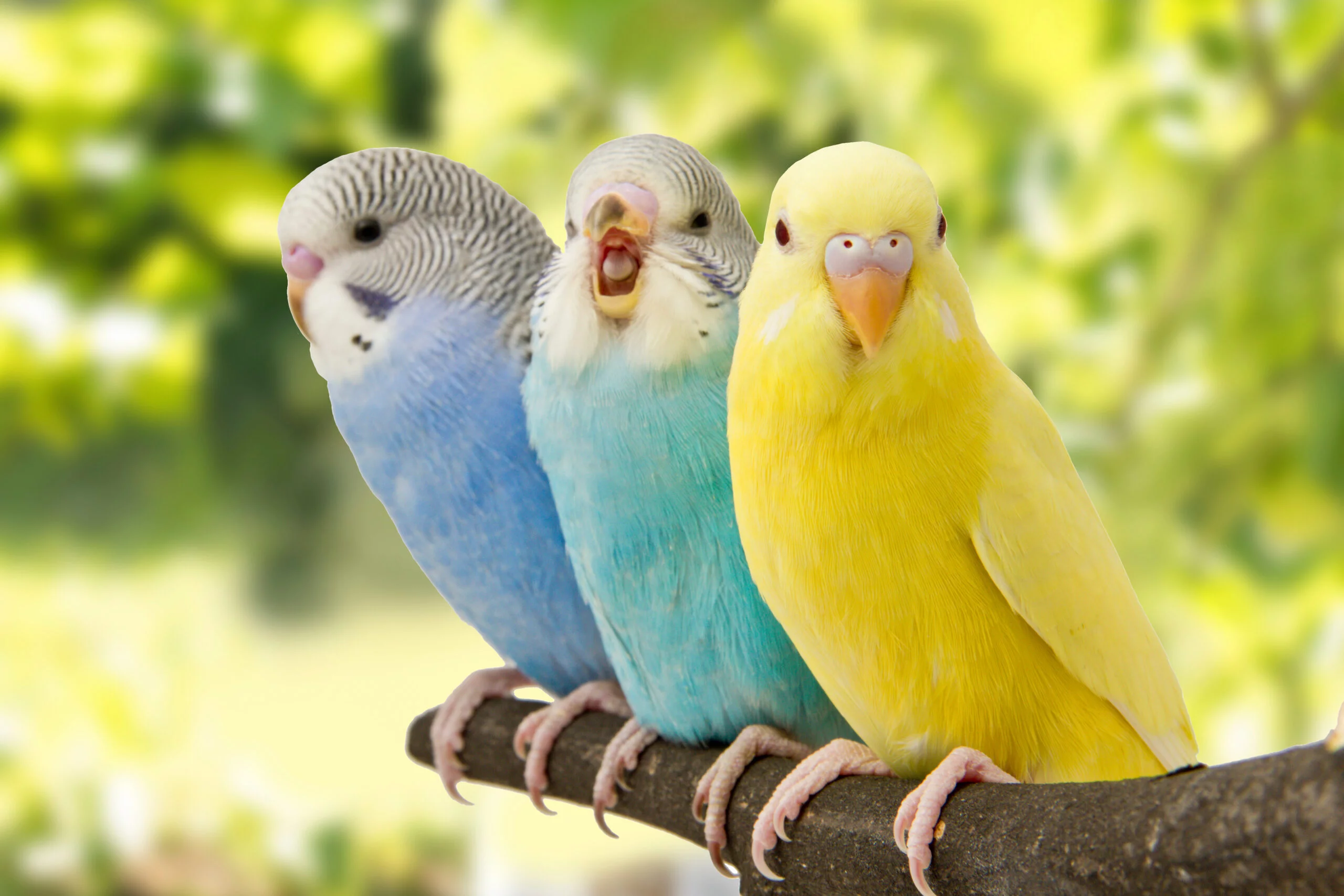 Foto: Adobe Stock