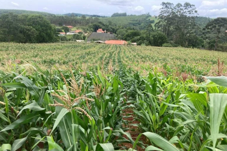 Solo deixa de ser coadjuvante para virar um dos protagonistas da Agrishow