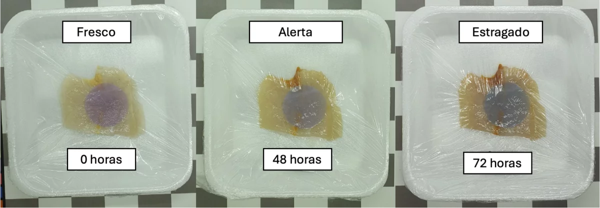 embalagem embrapa