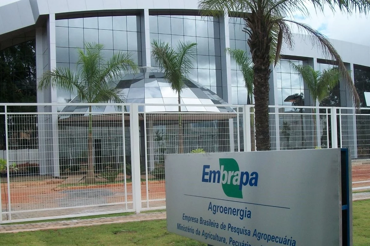 Foto: Agência Gov/Divulgação