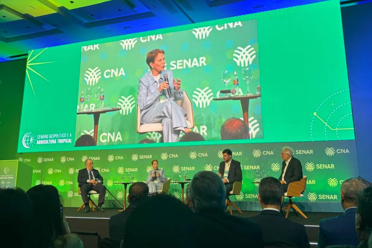 Foto: Cida Muniz/Arquivo Pessoal