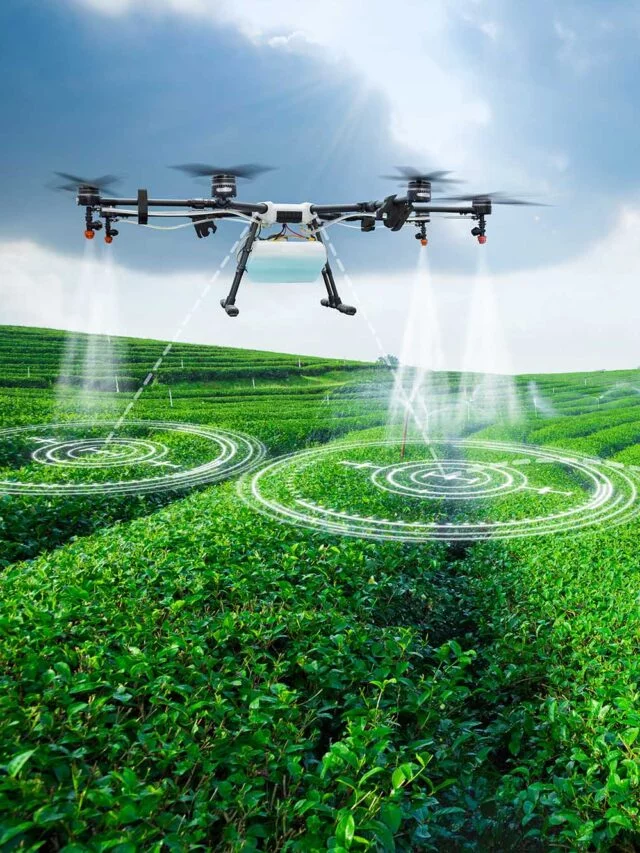 Mais produtividade com menos recursos: a revolução da agricultura de precisão