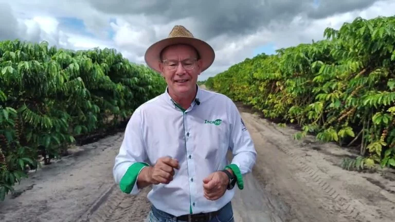 Espírito Santo inicia colheita do café conilon com expectativa de recorde Espírito Santo inicia colheita do café conilon com expectativa de recorde