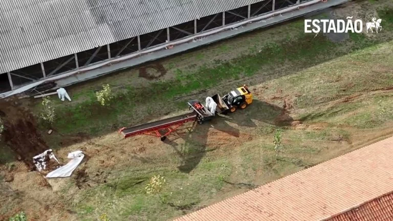 Granja com foco de gripe aviária passa por desinfecção Granja com foco de gripe aviária passa por desinfecção