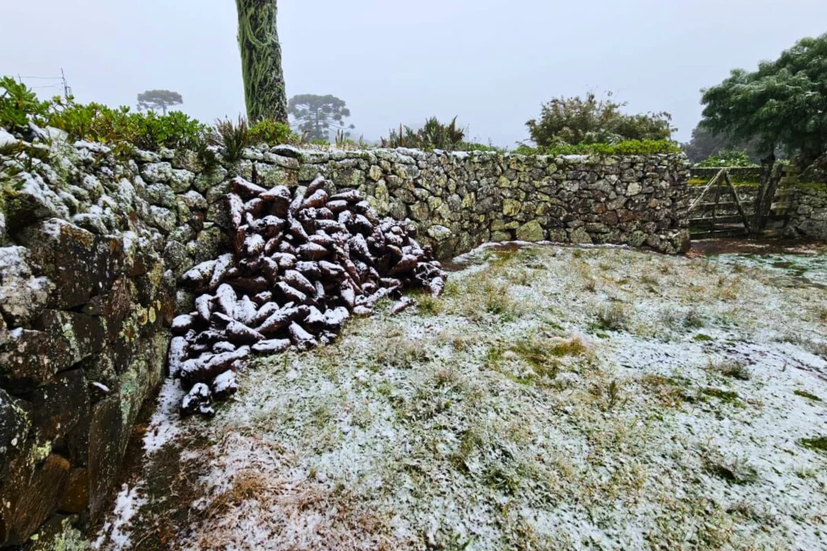 Neve chegou a acumular em São José dos Ausentes (RS). Foto: Gustavo Arruda/Arquivo Pessoal