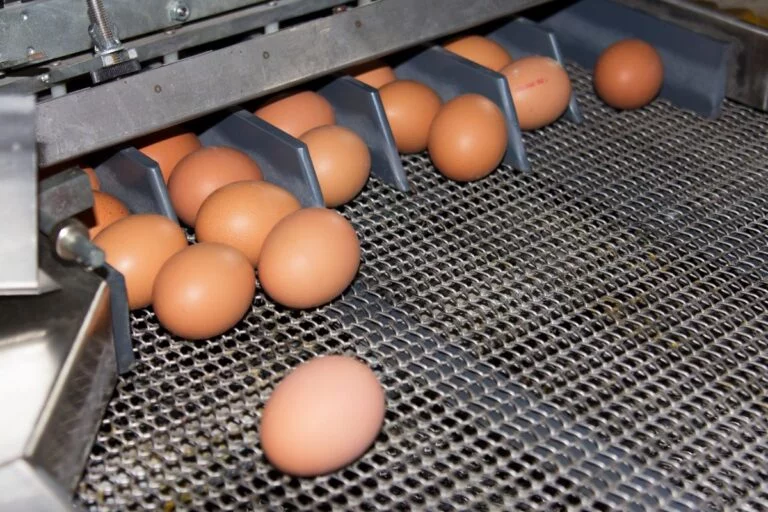 Brasileira Global Eggs conclui compra da Hillandale Farms nos EUA e espera faturar US$ 2,5 bi em 2025
