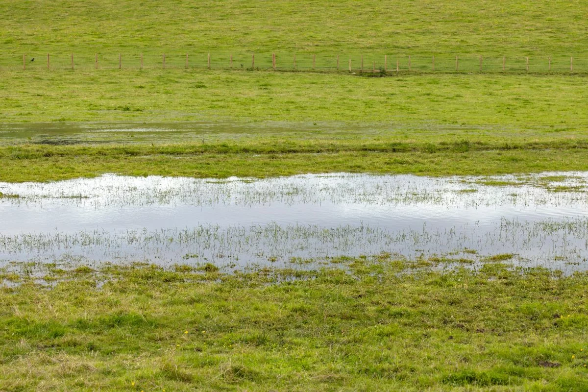 Temporais deverão ser provocados por uma frente fria que avança pelo Sul - Foto: Adobe Stock