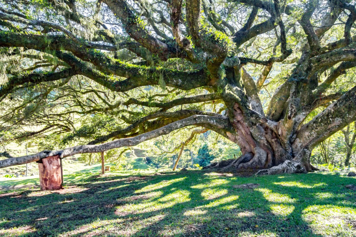 Foto: Adobe Stock