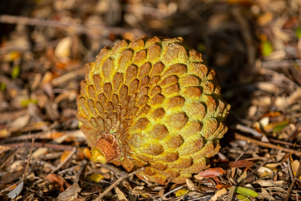 Foto: Adobe Stock