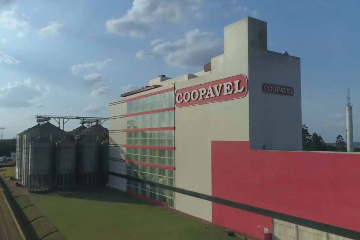 Capacidade de armazenagem da Coopavel será ampliada em 20 mil toneladas - Foto: Coopavel/Divulgação