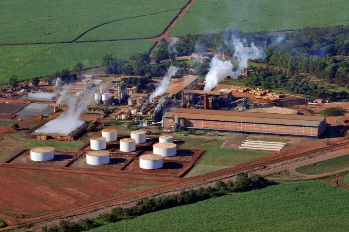 Em toda a safra 2024/25, companhia processou 7,868 milhões de toneladas de cana-de-açúcar - Foto: Jalles Machado/Divulgação