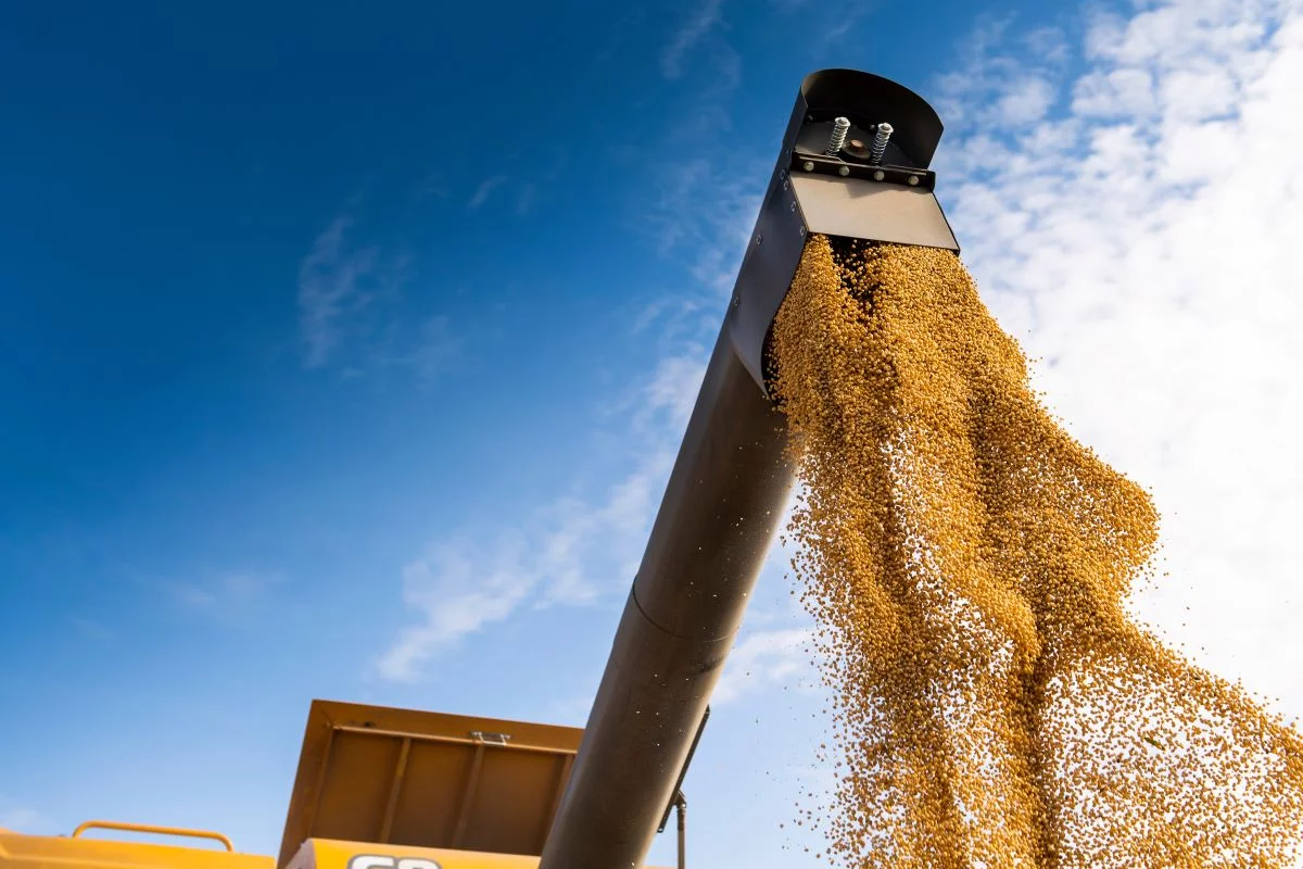 Queda das commodities agropecuárias foi de 0,68% - Foto: Adobe Stock