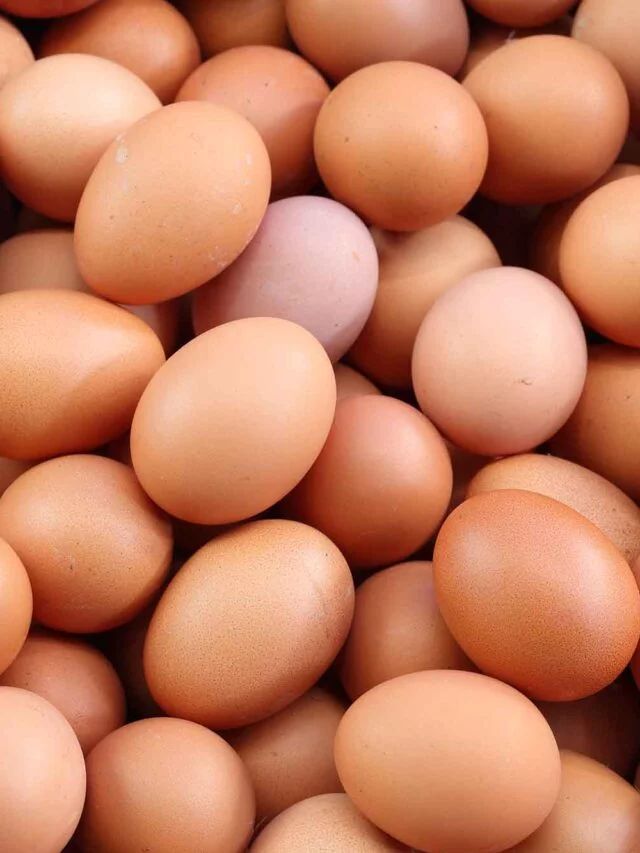 Você conhece o homem responsável pela produção de 13 bilhões de ovos por ano