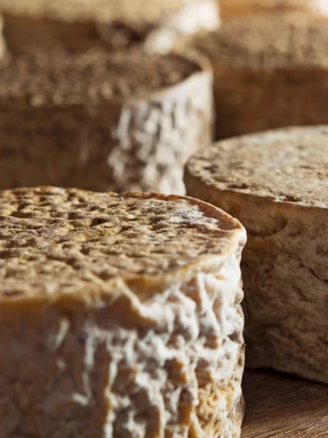 Queijo do Serro ganha assinatura genética: entenda o que isso muda