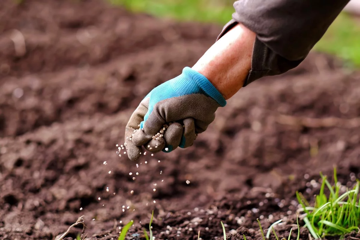 Em Mato Grosso, cerca de 85% dos fertilizantes já foram adquiridos - Foto: Adobe Stock