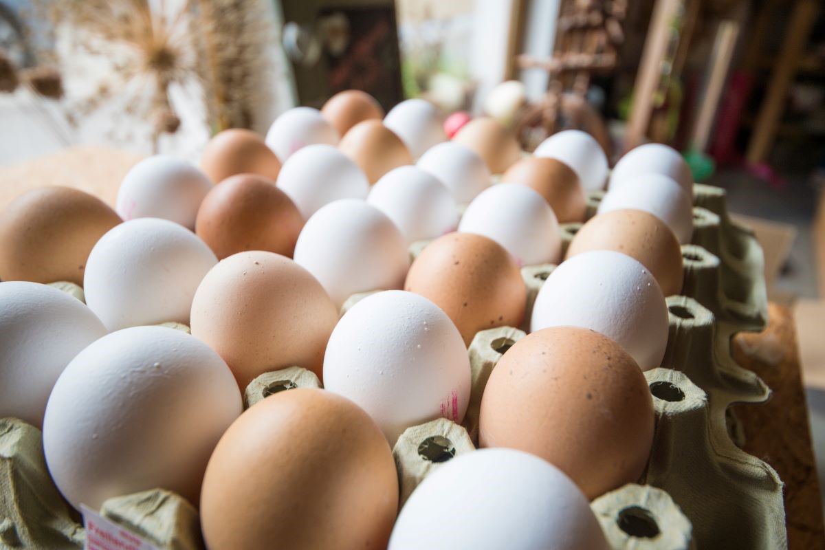 Foto: Adobe Stock