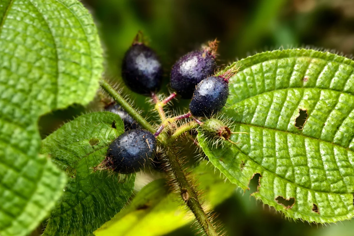 Foto: Adobe Stock