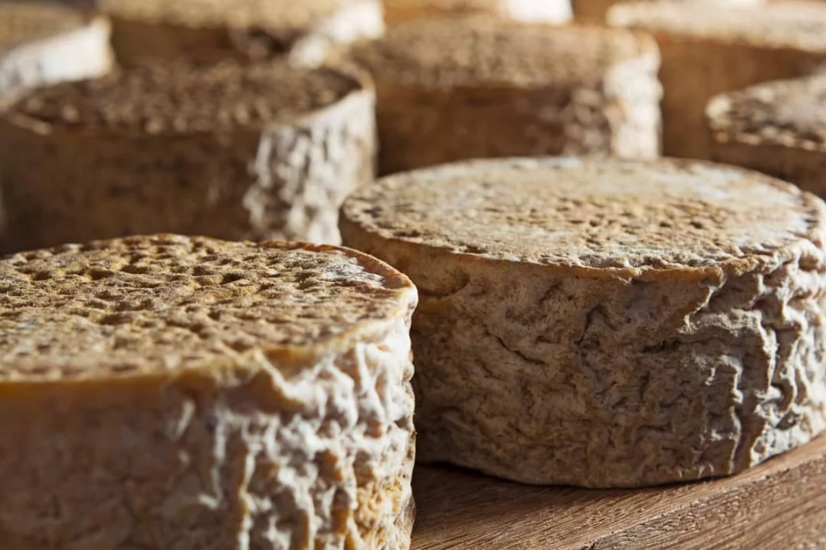 Foto: Associação dos Produtores Artesanais de Queijo do Serro/Divulgação